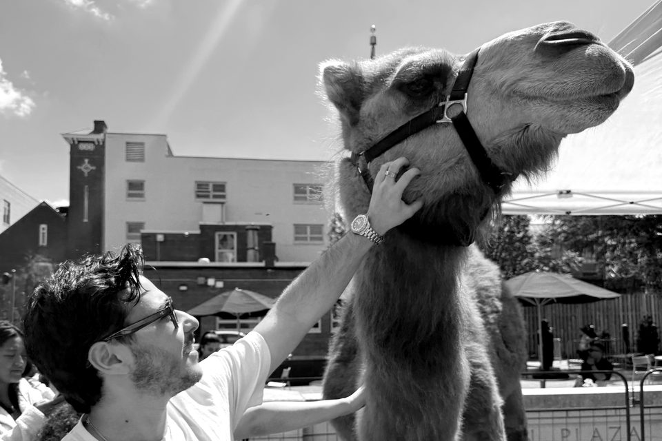 A smiling student reaches up to pet a camel at an outdoor festival.